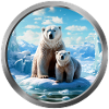 Polar Bear and Cub