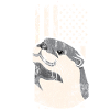 Otter American Flag