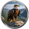 Eagle Animal - 4