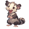 Opossum Opossums