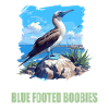 Blue-footed booby