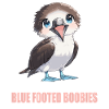 Blue-footed booby