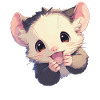 Opossum Opossums