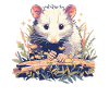Opossum Opossums