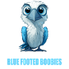 Blue-footed booby