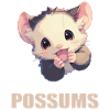 Opossum Opossums