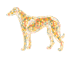 Greyhound Geometric