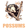 Opossum Opossums