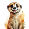 Ein fröhliches Erdmännchen