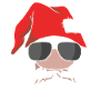 Christmas Christmas Gnome Christmas Gnome