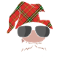 Christmas Christmas Gnome Christmas Gnome