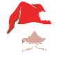 Christmas Christmas Gnome Christmas Gnome