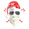 Santa Claus Face Christmas