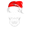 Santa Claus Face Christmas