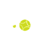 Flyball Dog Sports