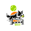 Flyball Dog Sports