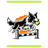 Flyball Sports canins