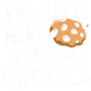Cookies Cookie Biscuits Biscuits Chocolate