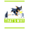 Flyball Sports canins