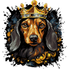 Chien Teckel Animal