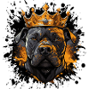 Dog Boxer