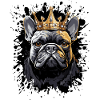 Dog Dog Animal