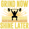 Motivation Fitness Barre-Squat Design