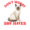 Chat tonkinois