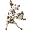 Dalmatiner