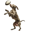 Weimaraner