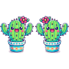 Cactus 2