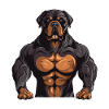 Dog Muscles Fitness