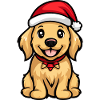 Golden Retriever Chien Noël Drôle
