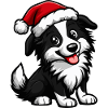 Border Collie Chien Noël