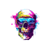 Ski Ski Masques Skull