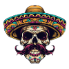 Mexican Skull Sombrero