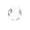 Loup domestique – Chien gothique avec lune