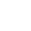 Geek Squad