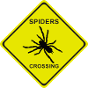 SPIDERS SCROSSING