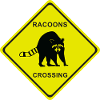 RACOONS CROSSING
