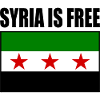 Syria Flag
