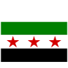 Syria Flag
