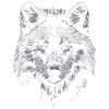 Wolf / Dog