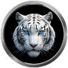 White Tiger Animal - 3