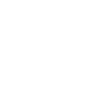 Demon Hunter