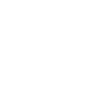 Shaman