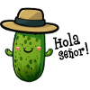 Pickle with hat