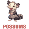 Opossum Opossums