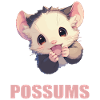 Opossum Opossums