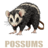 Opossum Opossums